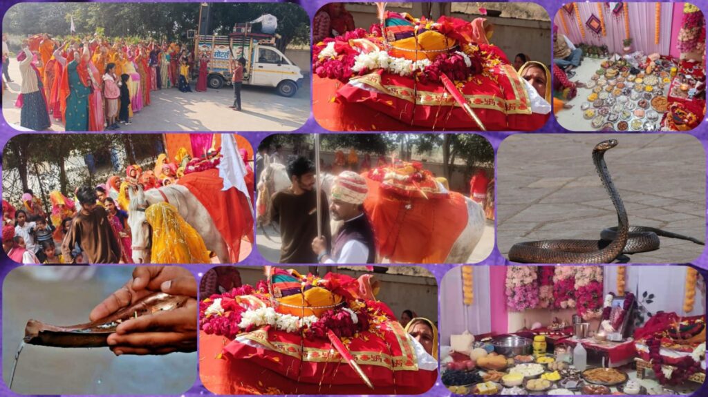 WhatsApp Image 2026-01-19 at 1.23.50 PM