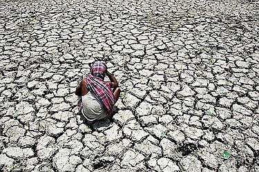 375px-Dry-Field